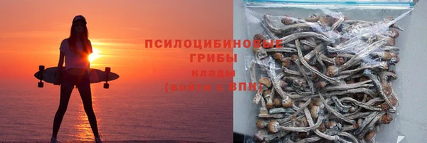 амф Алзамай