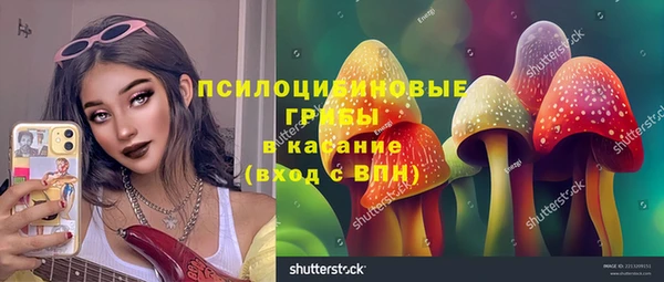 PSILOCYBIN Алексеевка